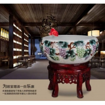 葡萄鱼缸