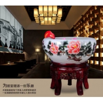 五彩牡丹鱼缸