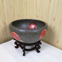 红睡莲鱼缸